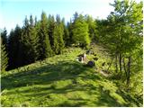 Sele pri Cerkvi / Zell - Pfarre - Mejnik